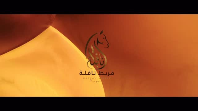 حملات تجارية — 8