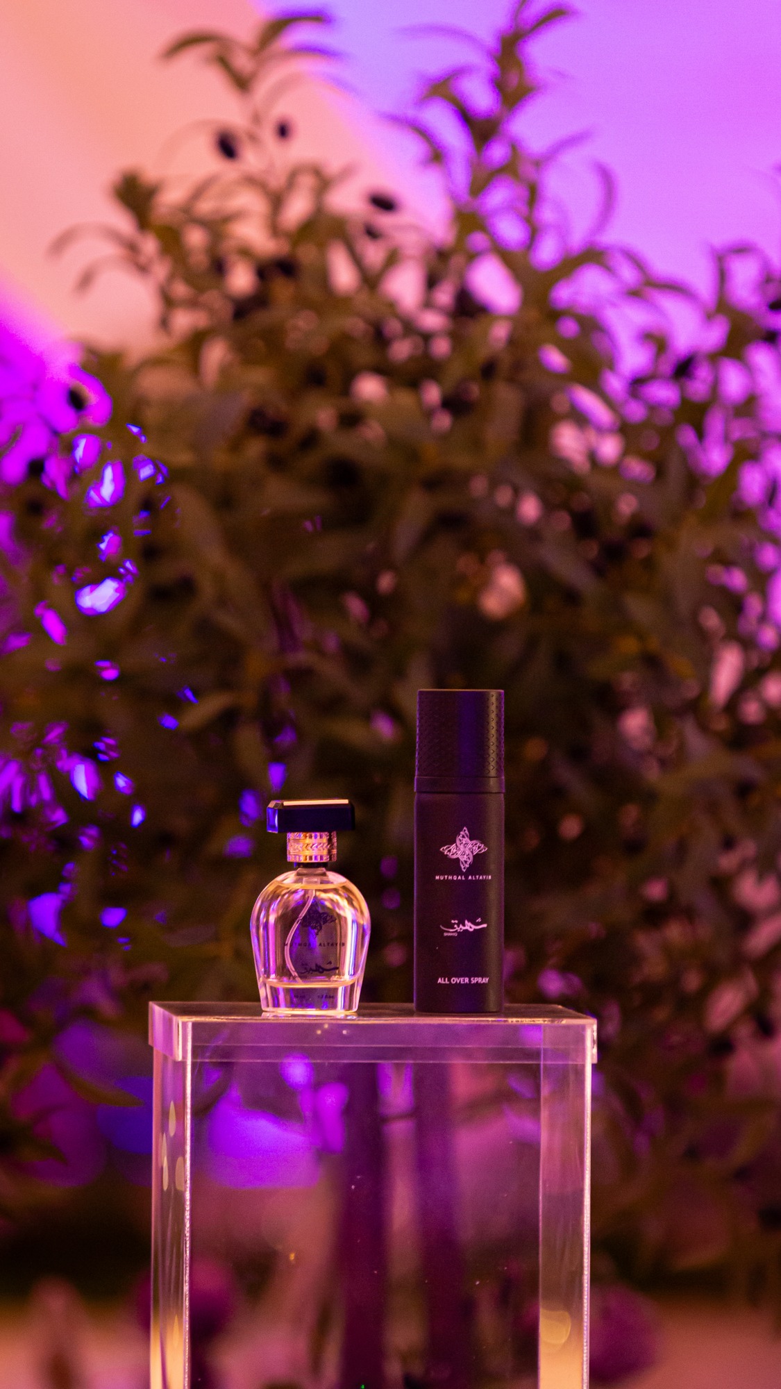 معرض العطور — 2